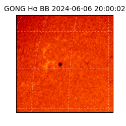gong - 2024-06-06T20:00:02