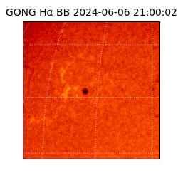 gong - 2024-06-06T21:00:02