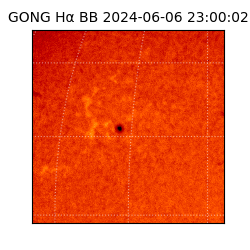 gong - 2024-06-06T23:00:02