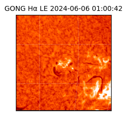 gong - 2024-06-06T01:00:42