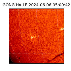gong - 2024-06-06T05:00:42