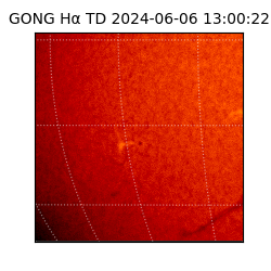 gong - 2024-06-06T13:00:22