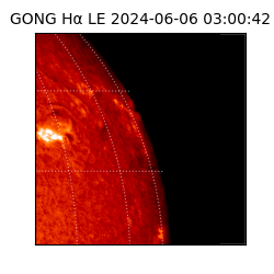 gong - 2024-06-06T03:00:42
