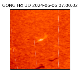 gong - 2024-06-06T07:00:02