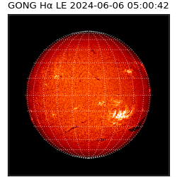 gong - 2024-06-06T05:00:42