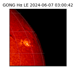 gong - 2024-06-07T03:00:42