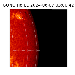 gong - 2024-06-07T03:00:42