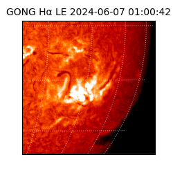 gong - 2024-06-07T01:00:42