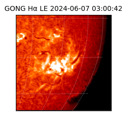 gong - 2024-06-07T03:00:42