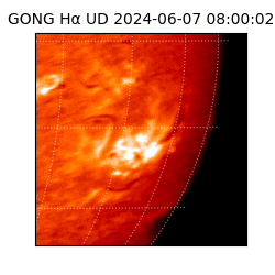 gong - 2024-06-07T08:00:02