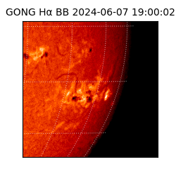gong - 2024-06-07T19:00:02