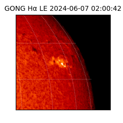 gong - 2024-06-07T02:00:42