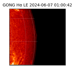 gong - 2024-06-07T01:00:42