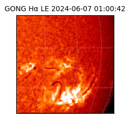 gong - 2024-06-07T01:00:42