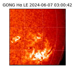 gong - 2024-06-07T03:00:42