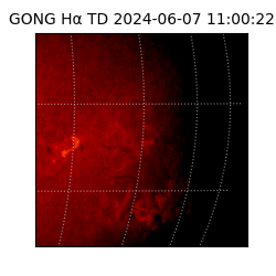 gong - 2024-06-07T11:00:22