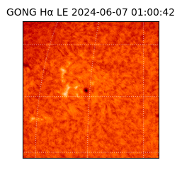 gong - 2024-06-07T01:00:42