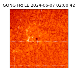 gong - 2024-06-07T02:00:42