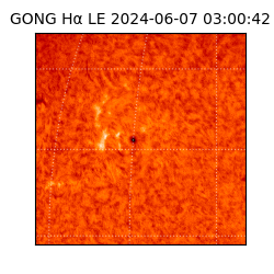 gong - 2024-06-07T03:00:42