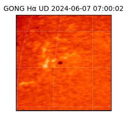 gong - 2024-06-07T07:00:02