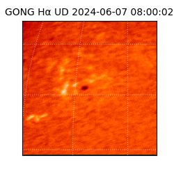 gong - 2024-06-07T08:00:02