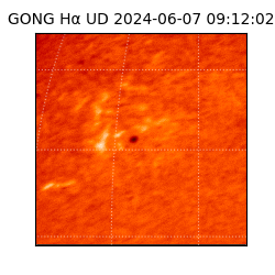 gong - 2024-06-07T09:12:02