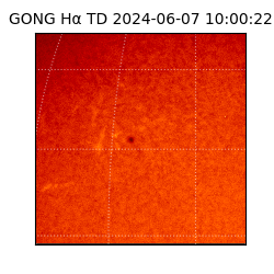 gong - 2024-06-07T10:00:22
