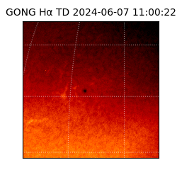 gong - 2024-06-07T11:00:22