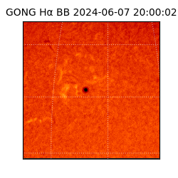 gong - 2024-06-07T20:00:02