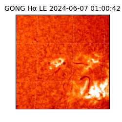 gong - 2024-06-07T01:00:42