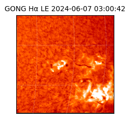 gong - 2024-06-07T03:00:42
