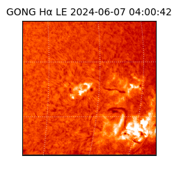 gong - 2024-06-07T04:00:42