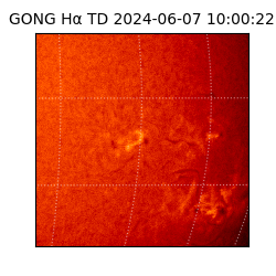 gong - 2024-06-07T10:00:22
