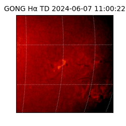 gong - 2024-06-07T11:00:22