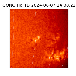 gong - 2024-06-07T14:00:22