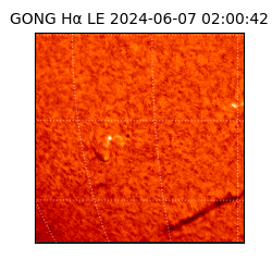 gong - 2024-06-07T02:00:42
