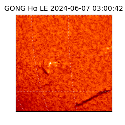 gong - 2024-06-07T03:00:42