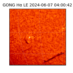 gong - 2024-06-07T04:00:42