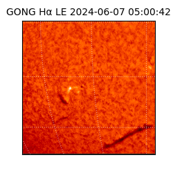 gong - 2024-06-07T05:00:42