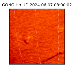 gong - 2024-06-07T08:00:02