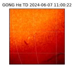 gong - 2024-06-07T11:00:22