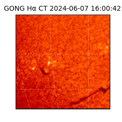 gong - 2024-06-07T16:00:42