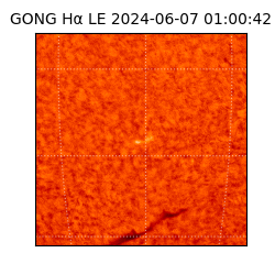 gong - 2024-06-07T01:00:42