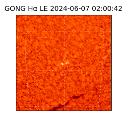 gong - 2024-06-07T02:00:42
