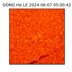 gong - 2024-06-07T05:00:42