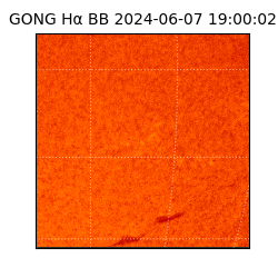 gong - 2024-06-07T19:00:02