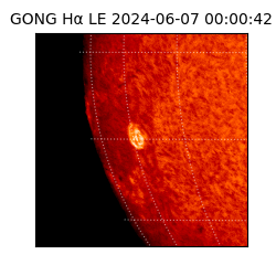 gong - 2024-06-07T00:00:42