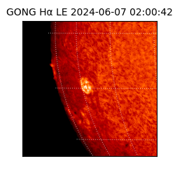 gong - 2024-06-07T02:00:42