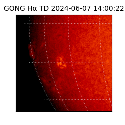 gong - 2024-06-07T14:00:22
