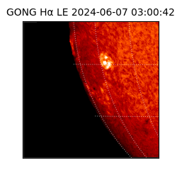 gong - 2024-06-07T03:00:42